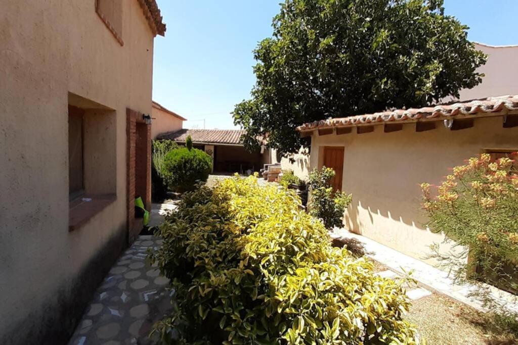 Casa Rural La Paloma - Zamora Manganeses de la Lampreana Exterior photo